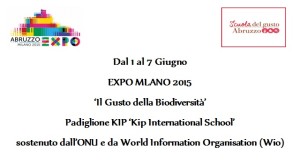 EXPO GAL 1
